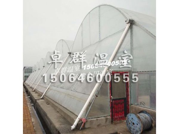 天津市西青區(qū)水稻育苗溫室