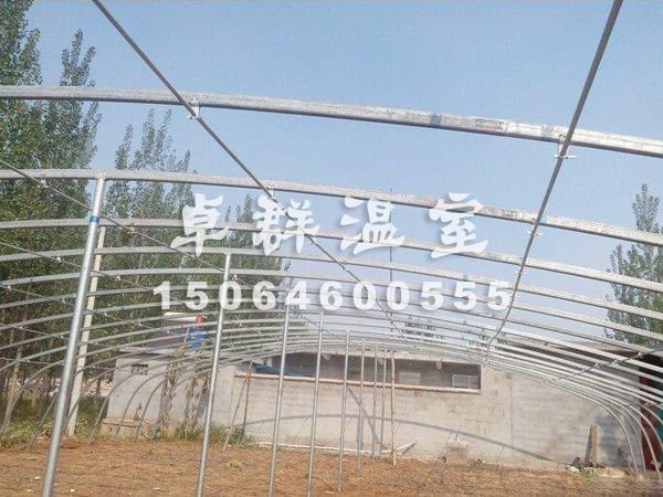 邵莊鎮(zhèn)育苗薄膜溫室