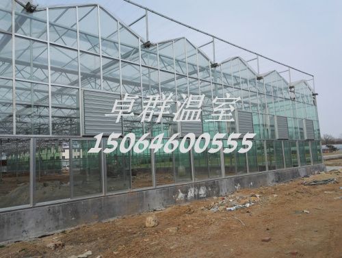 內(nèi)蒙古包頭市紋絡(luò)玻璃溫室。