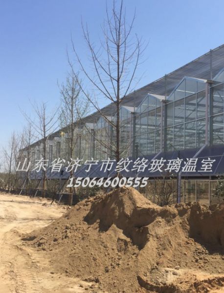 山東省濟(jì)寧市紋絡(luò)玻璃溫室