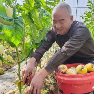 <img src=upfile/images/2022/04/16/small3_16500787625514799.jpg height=150>